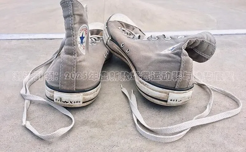 潮流引领：2025年度新款鸳鸯运动鞋与趋势展望